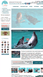 Mobile Screenshot of delfinary-rostov.ru